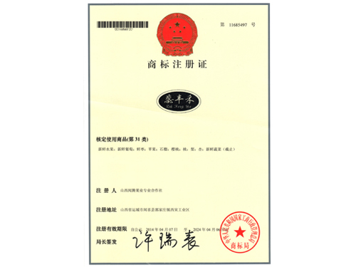 商標注冊證